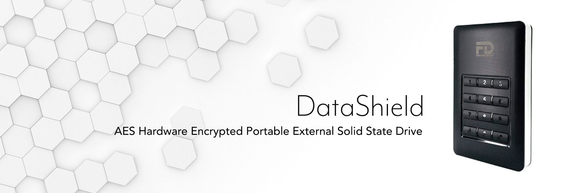 Datashield Encrypted Solid State Drive